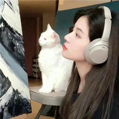 星光继承者